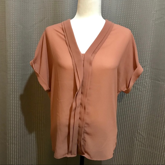 Dex Oversized Blush Dex Sheer Button Blouse - Picture 1 of 7